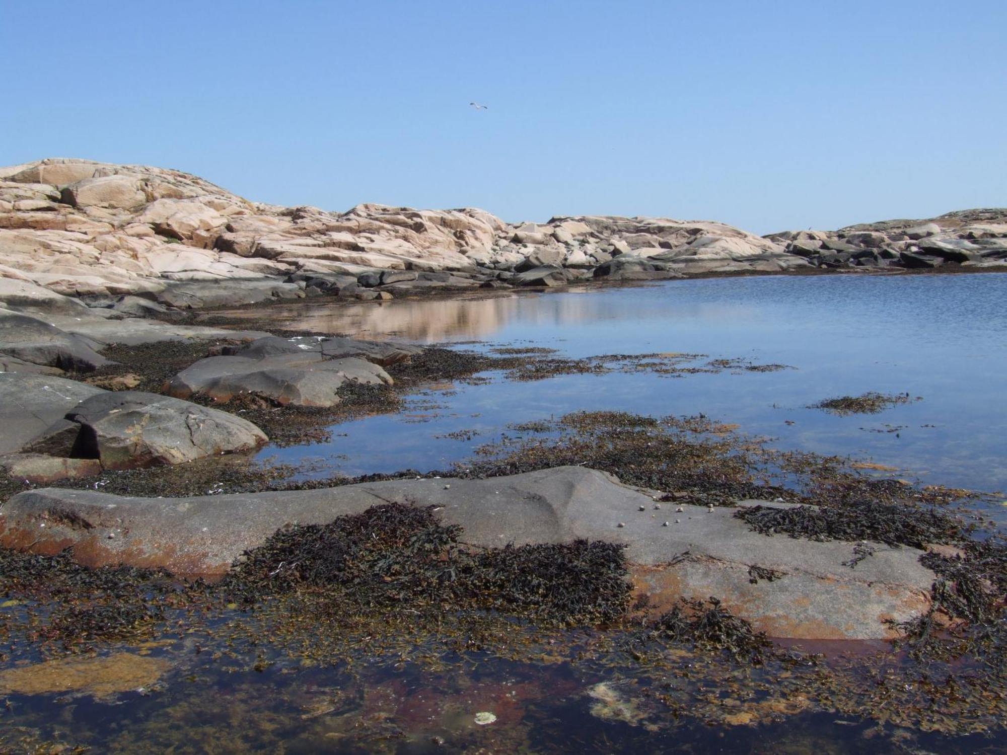 Hotell Fisketangen คุงส์ฮัมน์ ภายนอก รูปภาพ